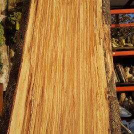 Spalted Beech Slabs