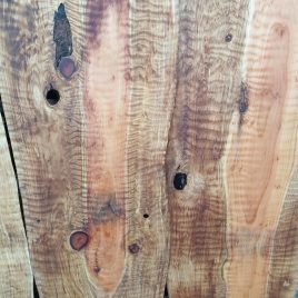 Douglas Fir