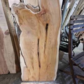 Yew